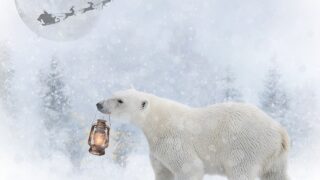 料理